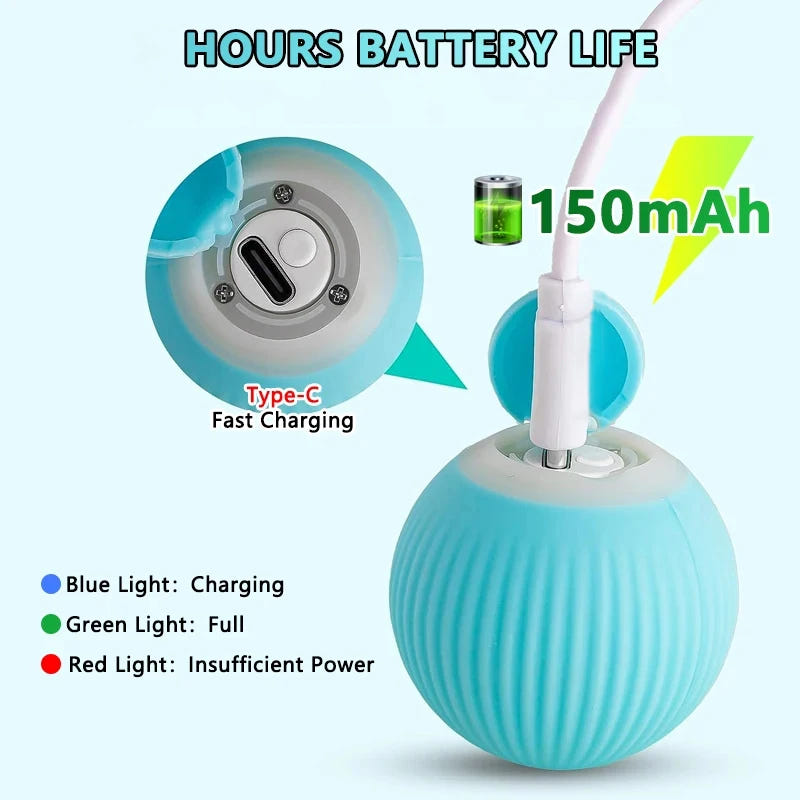 s87c2198cd014407b8c14c9b2b28b355fn.webp